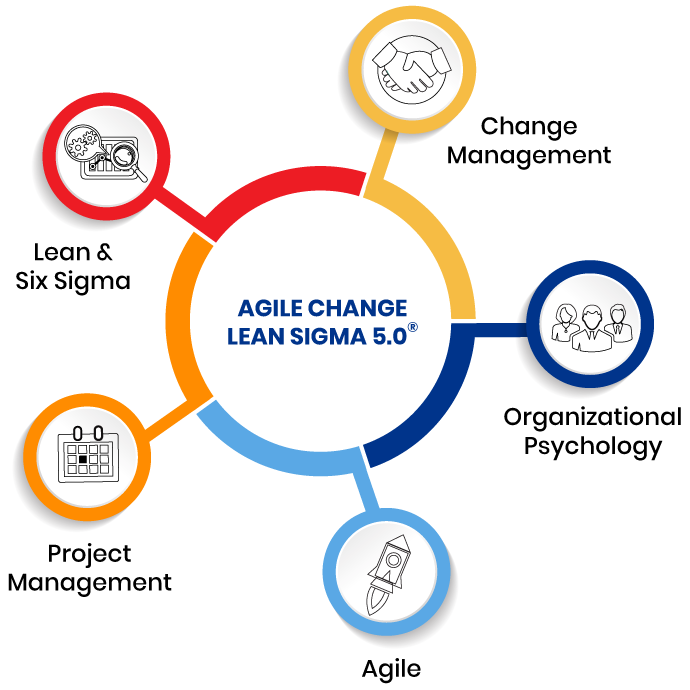 agile-lean-sigma-75